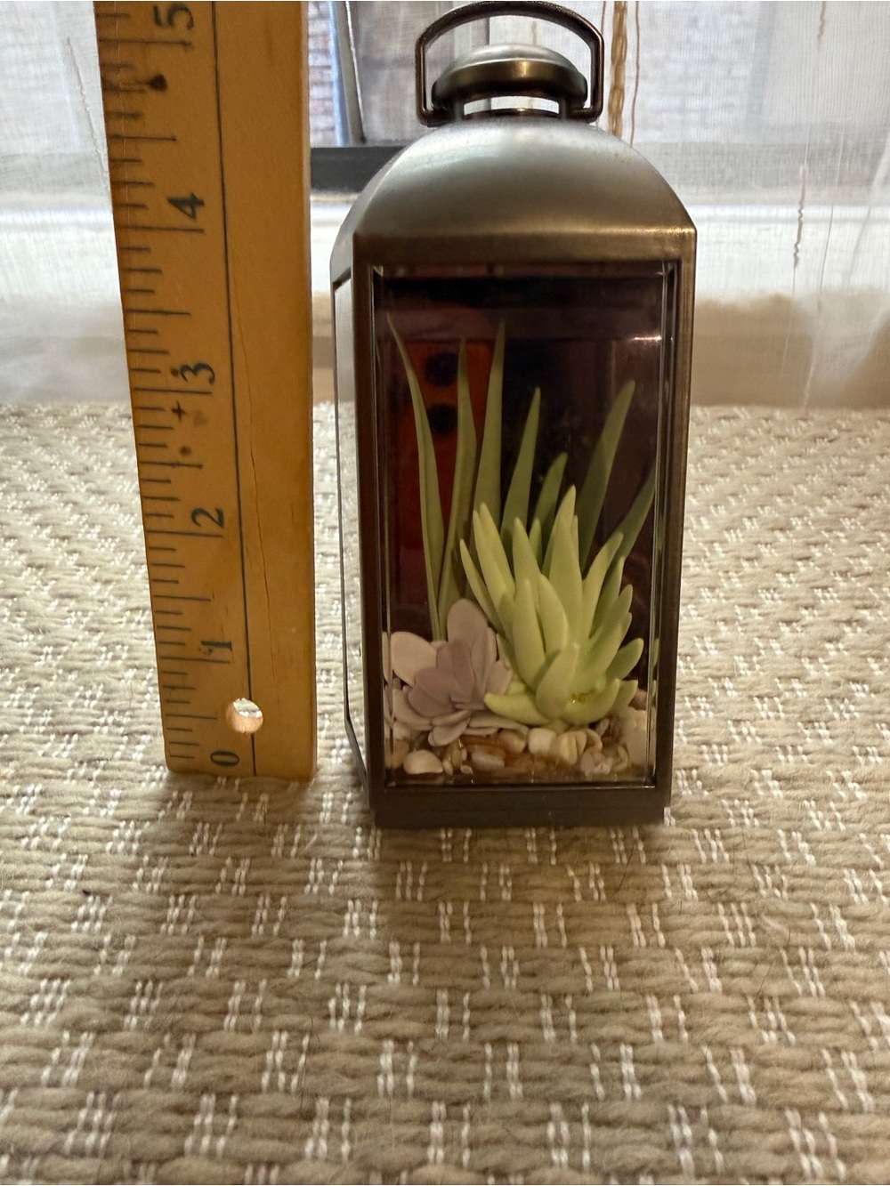 Bath Body Works Succulent Lantern Terrarium - Green and Purple Faux Plant Accent